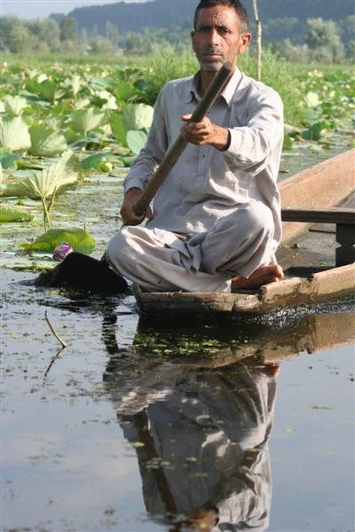 0941 Srinigar 20-08-2009 (Medium).jpg